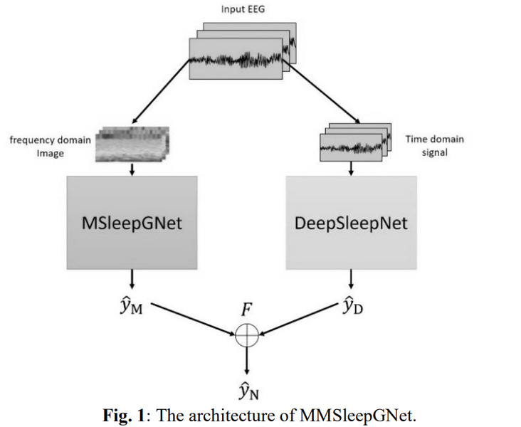 [TIM] MMSleepGNet: Mixed Multi-Branch Sequential Fusion Model Based on Graph Convolutional Network for Automatic Sleep Staging