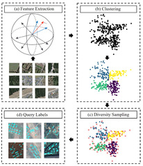 One-shot Active Learning for Image Segmentation via Contrastive Learning and Diversity-based Sampling