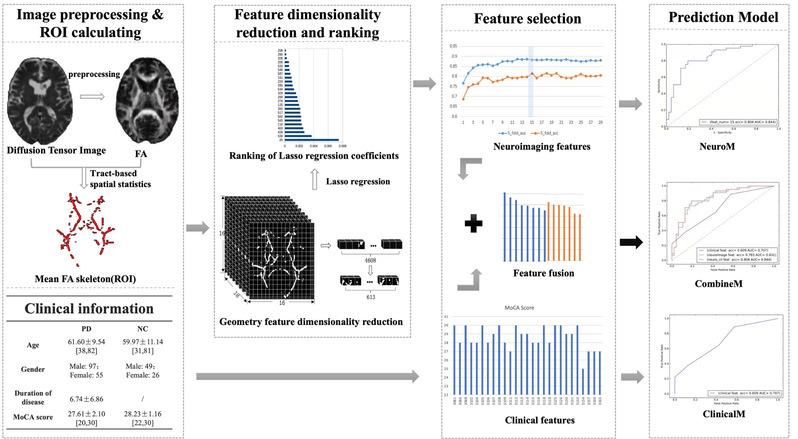 [QIMS] White Matter Biomarker for Predicting De Novo Parkinson's Disease Using Tract-Based Spatial Statistics: A Machine Learning-Based Model