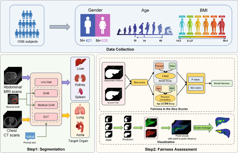 [MICCAI'24] An Empirical Study on the Fairness of Foundation Models for Multi-Organ Image Segmentation