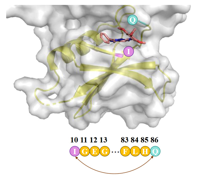 [Briefings in Bioinformatics] ProteinF3S: Boosting Enzyme Function Prediction by Fusing Protein Sequence, Structure, and Surface