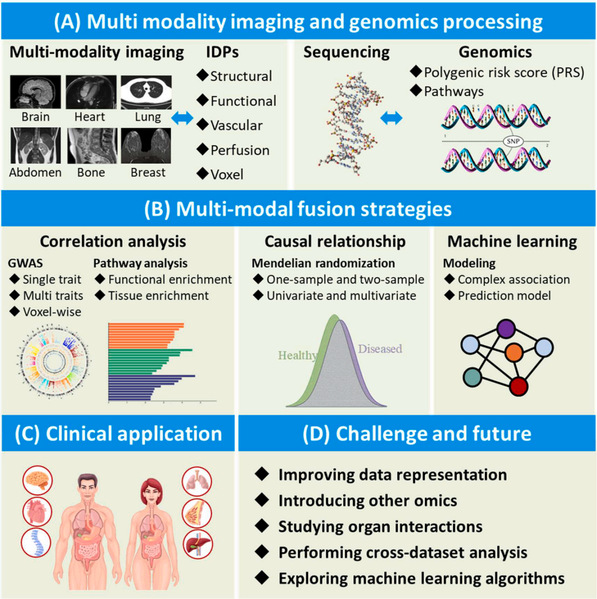 [Information Fusion] Recent advances in data-driven fusion of multi-modal imaging and genomics for precision medicine