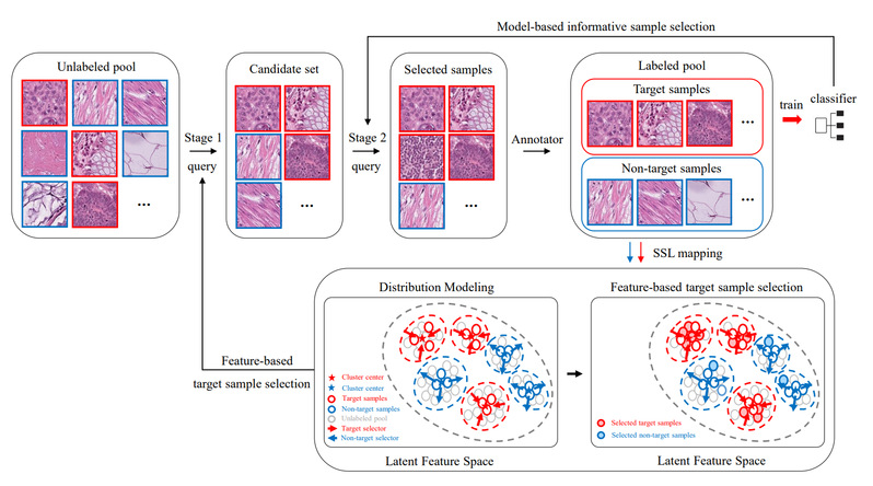 [MICCAI'23] OpenAL: An Efficient Deep Active Learning Framework for Open-Set Pathology Image Classification