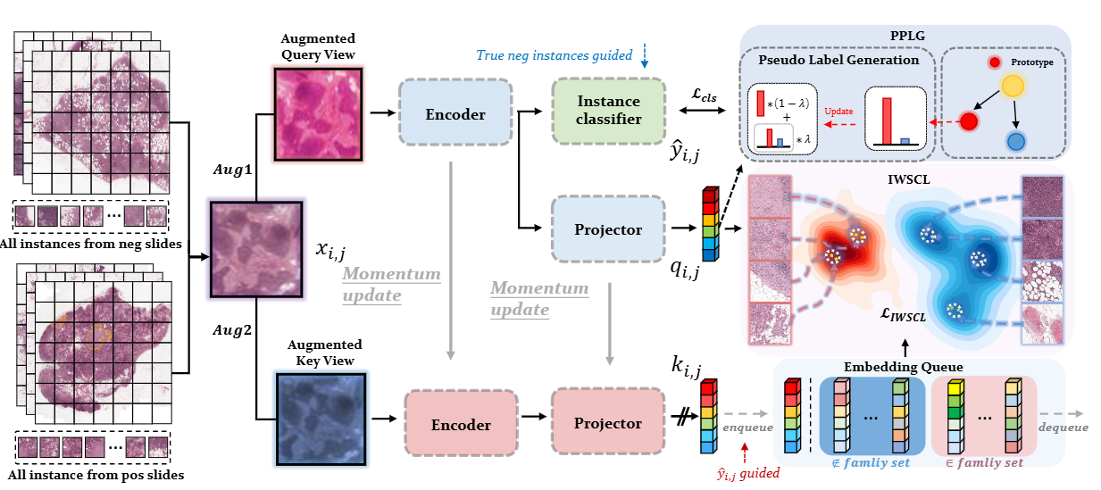 [TCSVT] Rethinking Multiple Instance Learning for Whole Slide Image Classification: A Good Instance Classifier is All You Need