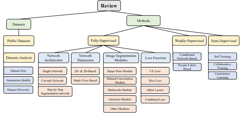 [BME Online] Towards more precise automatic analysis: a systematic review of deep learning-based multi-organ segmentation
