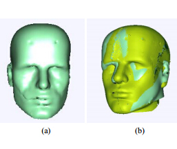 Surface-based automatic coarse registration of head scans