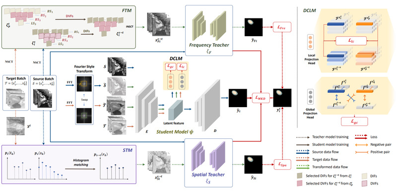 [TMI] A Structure-aware Framework of Unsupervised Cross-Modality Domain Adaptation via Frequency and Spatial Knowledge Distillation