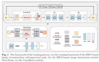 [Neural Computing and Applications] Wavelet-based Self-supervised Learning for Multi-scene Image Fusion