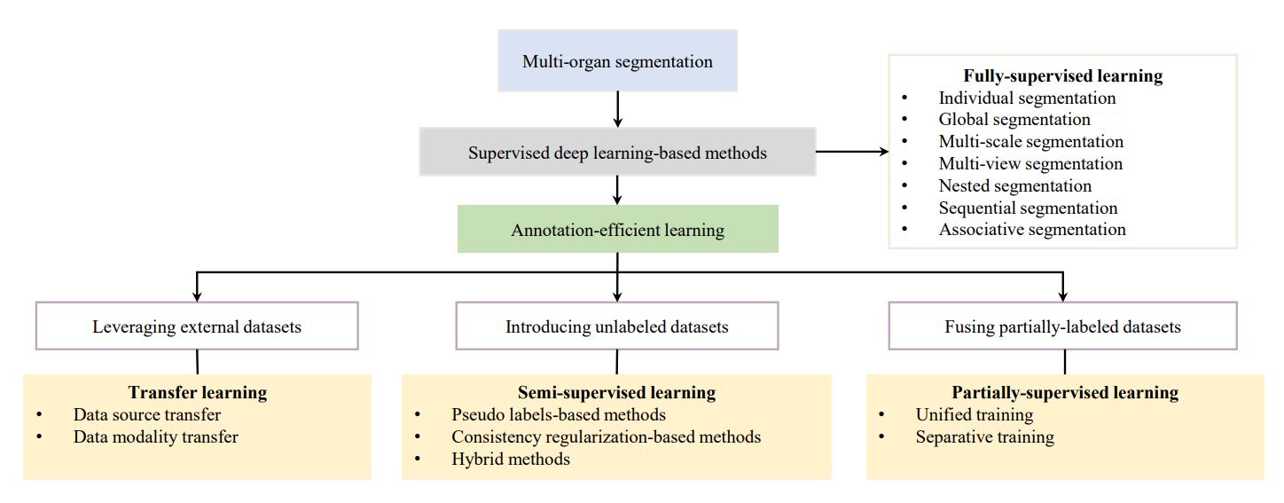 [Physics in Medicine & Biology] Multi-organ segmentation: a progressive exploration of learning paradigms under scarce annotation